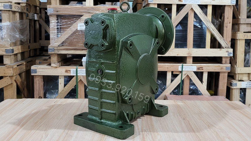 Thiết kế tổng thể của hộp số giảm tốc trục vít WPDS 155